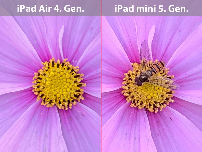 iPad Air (2020) review: Macro camera test