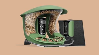 birdfy duo feeder